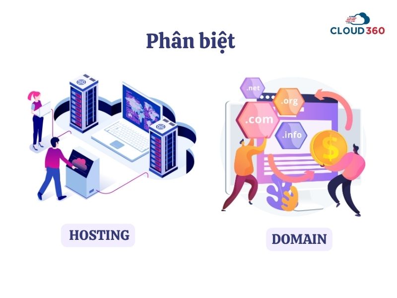 Phân biệt Hosting với Domain